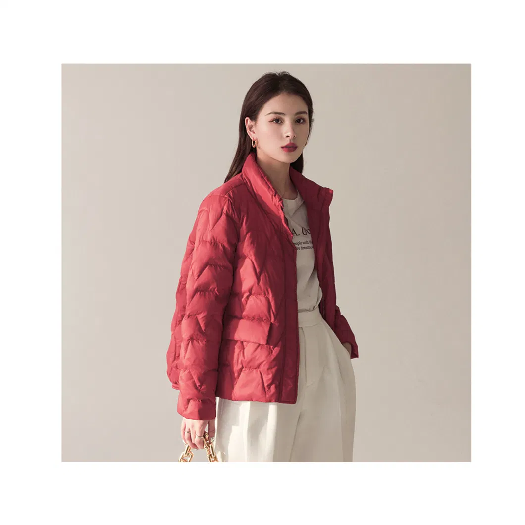 Literary Style Simple Style Women&prime; S Down Jacket Women&prime; S New Stand-up Collar Fashion Pure Color White Duck Down Warm Bread Wear Tide
