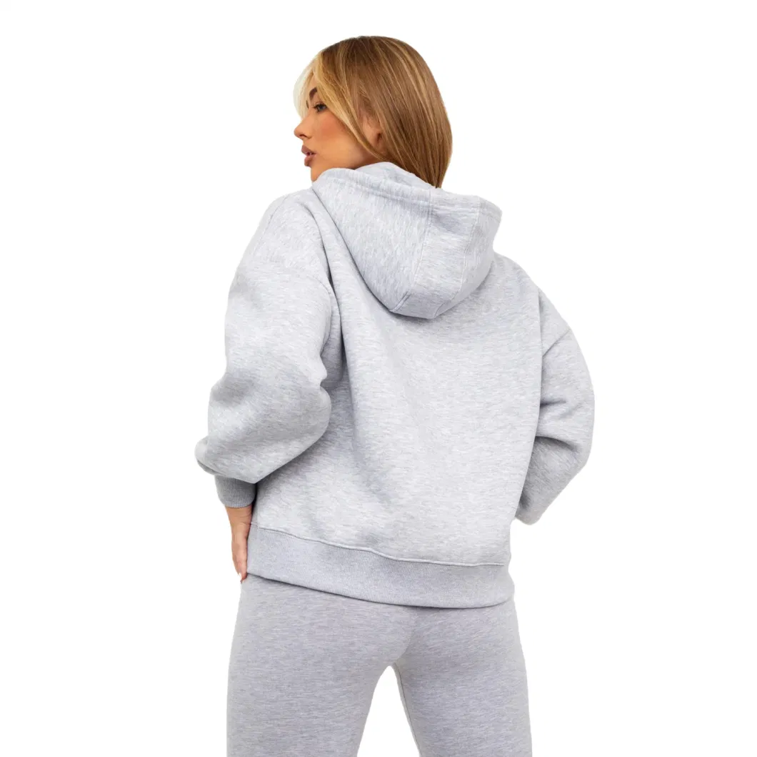 Bulk Wholesale Puff Print Oversized Baggy Hoodie Custom Plain Cotton Drop Shoulder Plus Size Fleece Hooded Sweatshirt for Women